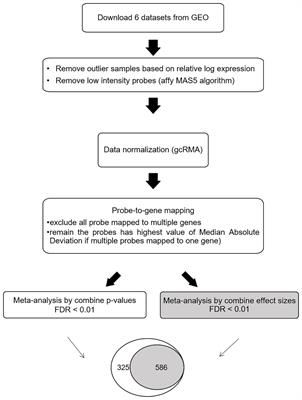 Meta-Analysis of Differentially Expressed Genes in the Substantia Nigra in Parkinson’s Disease Supports Phenotype-Specific Transcriptome Changes